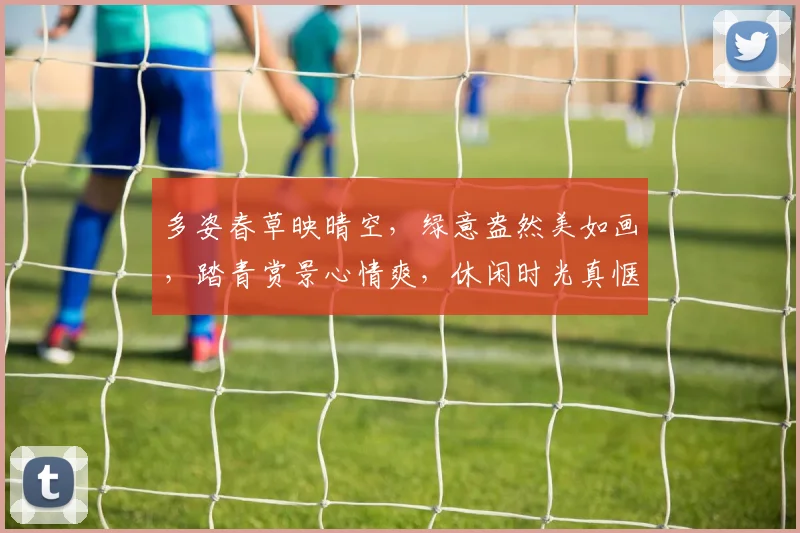 多姿春草映晴空，绿意盎然美如画，踏青赏景心情爽，休闲时光真惬意，春意盎然共陶醉。