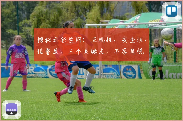 揭秘云彩票网：正规性、安全性、信誉度，三个关键点，不容忽视