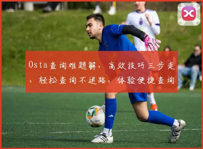 Osta查询难题解，高效技巧三步走，轻松查询不迷路，体验便捷查询新境界