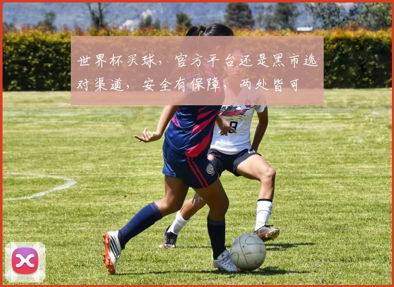 世界杯买球，官方平台还是黑市选对渠道，安全有保障，两处皆可