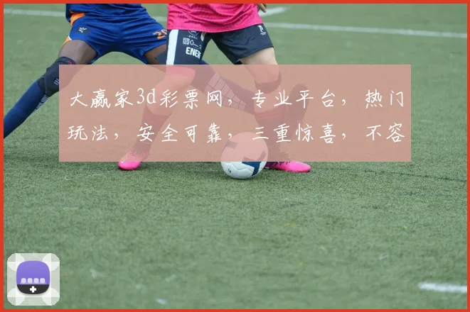 大赢家3d彩票网，专业平台，热门玩法，安全可靠，三重惊喜，不容错过，立即体验