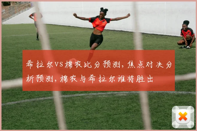 希拉尔vs棉农比分预测,焦点对决分析预测,棉农与希拉尔谁将胜出