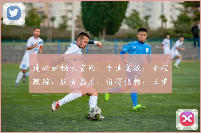 速必达物流官网，专业高效，全程跟踪，服务品质，值得信赖，三重保障，您的物流首选